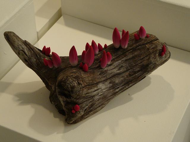 install - flambelle.JPG